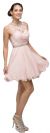 Illusion Sweetheart Neck Short Tulle Homecoming Party Dress in Blush